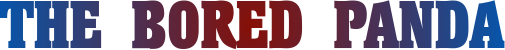 theboredpanda